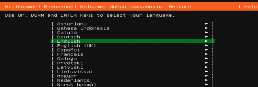Install Ubuntu/Linux OS on VM Language